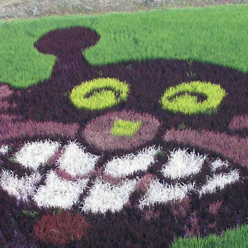 2013年/ばいきんまん