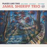 Jamil Sheriff Trio-Places Like This
