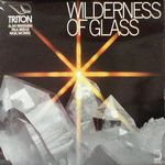Triton-Wilderness Of Glass