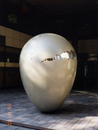 写真・タマゴ