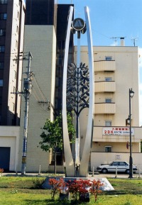 写真・飛翔