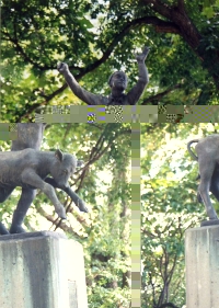 写真・牛と少年