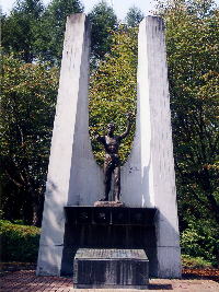 �ʐ^�E�t���̑�