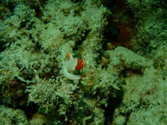 725-01