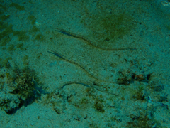 730-02