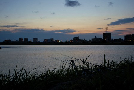 多摩川での鯉釣り風景