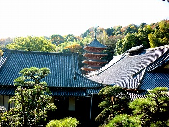 写真３－２