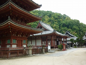 写真２－１