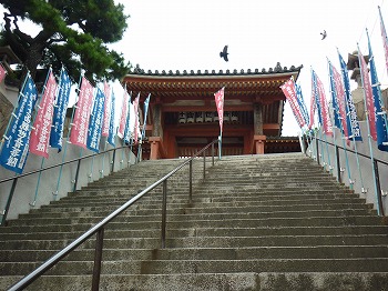 写真7-1