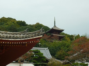 写真2-1