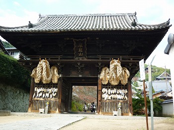 写真1-1