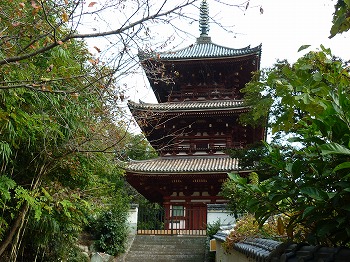 写真7-2
