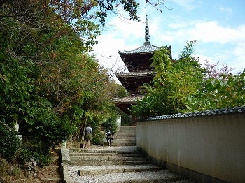 写真7-1