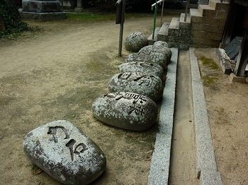 写真6-1