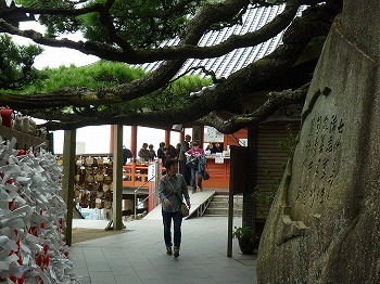 写真3-1