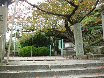 写真9-1