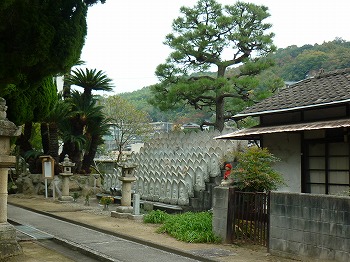 写真6-2