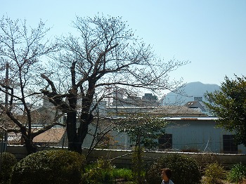 写真5-2