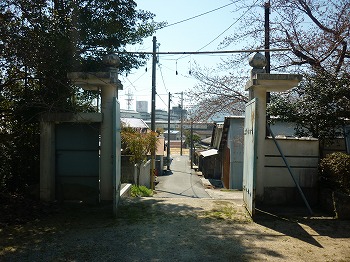写真5-1