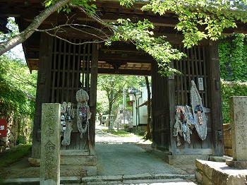 写真5-1