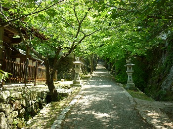 写真7-1