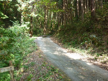 写真6-2