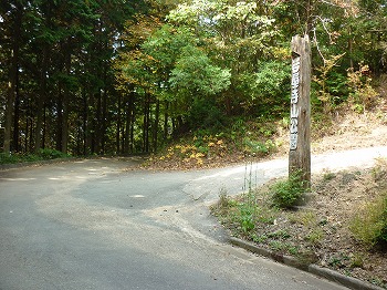 写真11-1