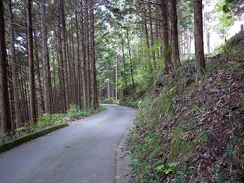 写真10-1