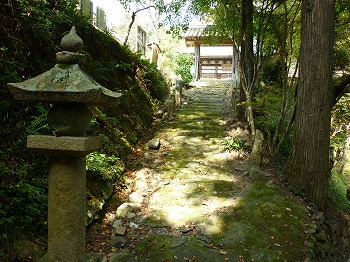 写真1-1