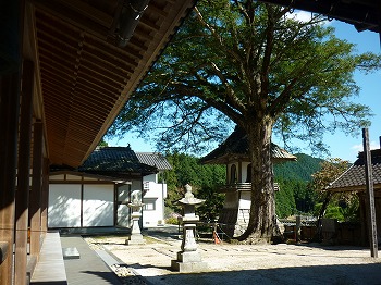 写真6-1