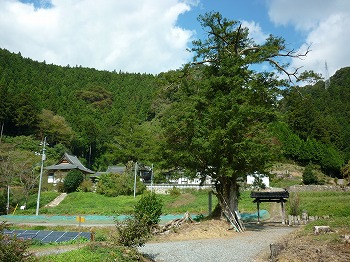写真8-2