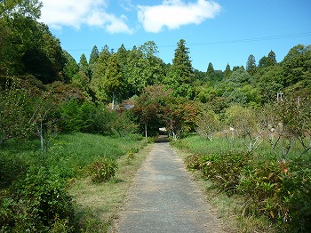 写真２－１