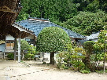 写真2-1