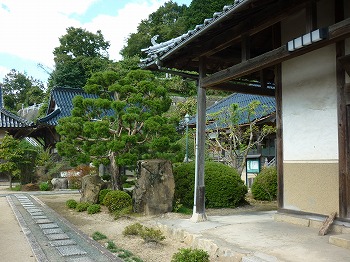 写真5-1