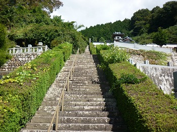 写真1-1