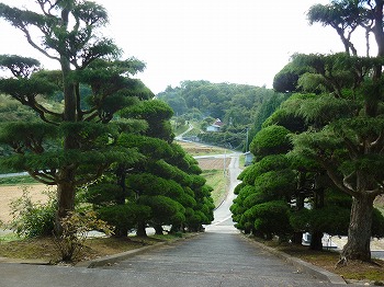 写真6-1