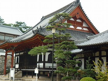 写真1-1