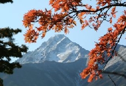 20121025_045.JPG