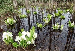 20140507_010.JPG