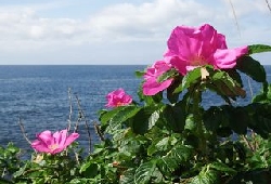 20140912_019.JPG