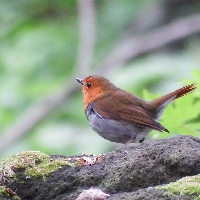 20150517_031_1.jpg