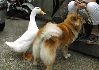 mame34.jpg (16400 �o�C�g)