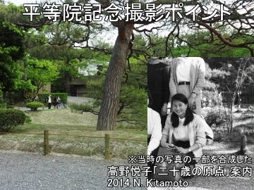 平等院記念撮影ポイント