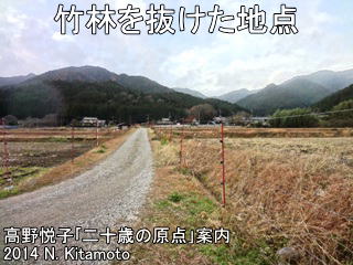 竹林を抜けた地点