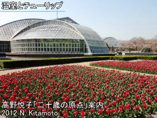 植物園とチューリップ