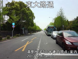 東大路通