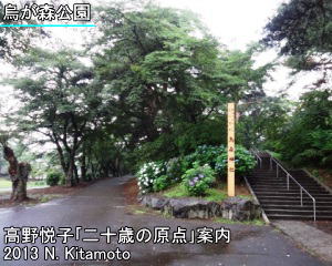 現在の烏が森公園