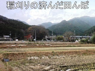 稲刈りの済んだ田んぼ