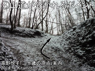 山道が分かれるポイント