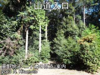 山道入口